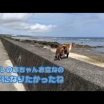 ママになる気だったのよ でもあたしの赤ちゃんお空に還っちゃった またね 2024 04 27 2(YouTube)