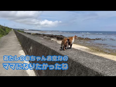 ママになる気だったのよ でもあたしの赤ちゃんお空に還っちゃった またね 2024 04 27 2(YouTube)