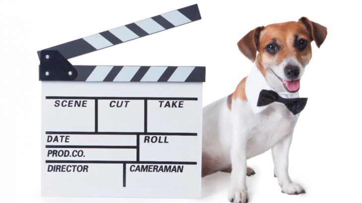 犬好きにはたまらない！今年もカンヌ映画祭は犬が人気(ブログ)
