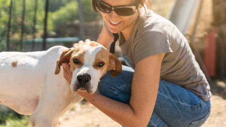犬が不快に感じる『褒め方』5選　飼い主が勘違いしがちな避けるべき行動とは？(ブログ)