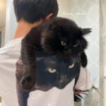 【完全に一致】猫のプリントTシャツを着たご主人に背負われる黒猫ちゃん、境目が分からなくて爆笑の嵐(ブログ)