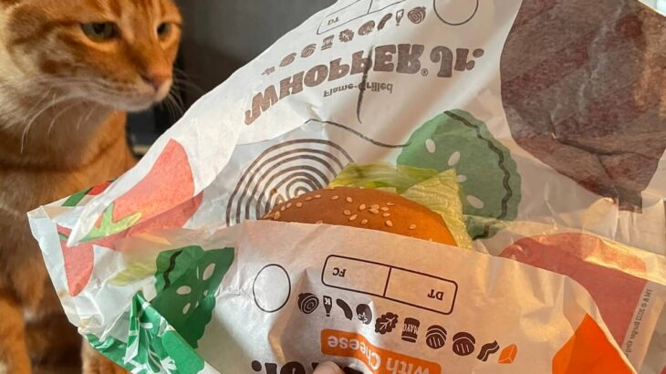 猫の視線の先にあるのは…バーガーキングのハンバーガー！人間の食べ物をめぐるネコと飼い主のシビアな攻防戦(ブログ)