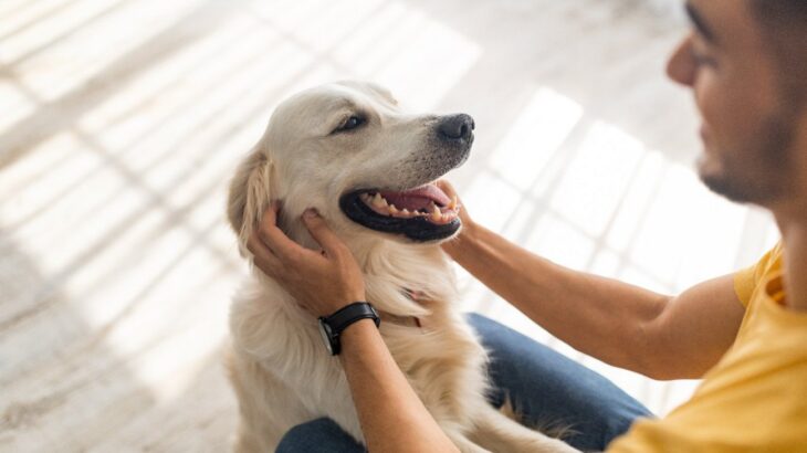 犬を喜ばせる『褒め言葉』5選　愛犬を褒めるメリットや伝えるべきタイミングとは(ブログ)