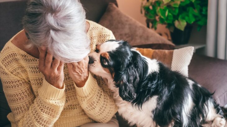 飼い主のストレスが犬に与える悪影響3選　マイナス思考は伝染する？愛犬を不安にさせないために(ブログ)