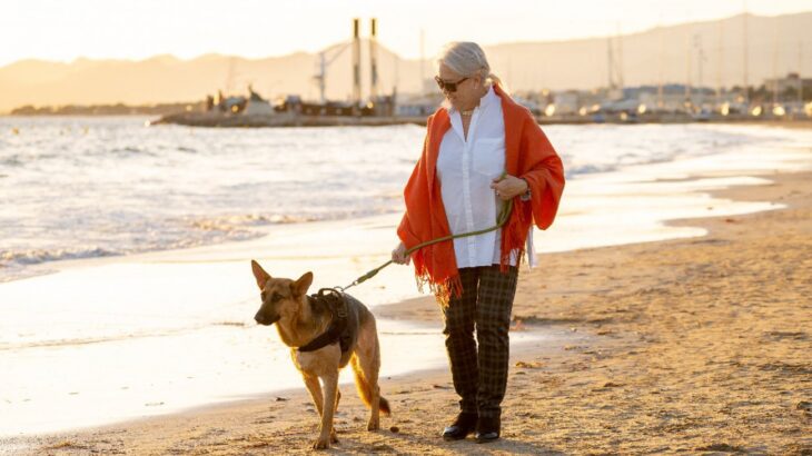 「犬の散歩中の怪我、危険な因子とは何か」を調査した海外の研究結果　65歳以上の女性は”怪我のリスク”が高い(ブログ)