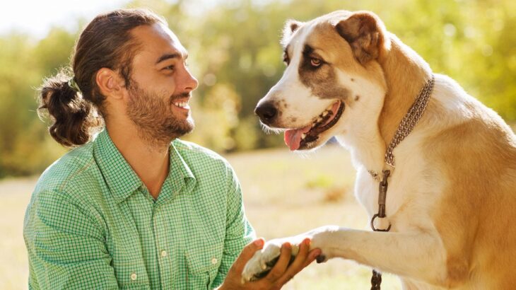 犬は『飼い主の表情』から気持ちを読み取れる！優れた能力と日頃から配慮すべきことまで(ブログ)