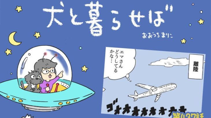 犬と暮らせば【第437話】「飼い主失格？」(ブログ)