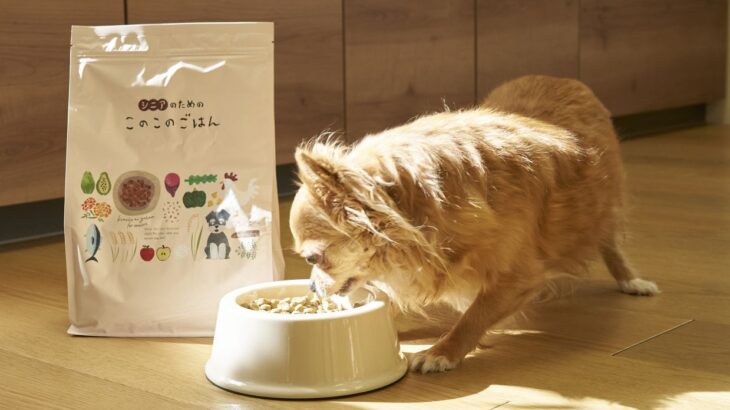 老犬への思いやりが詰まった国産ドッグフード！シニアのためのこのこのごはんを紹介(ブログ)