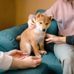 犬を飼い始めたばかりの人がしがちなNG行動4つ　知っておきたいお世話のポイントとは？(ブログ)