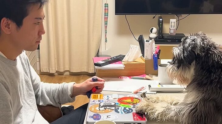 机で仕事をしていたら…『かまってほしい犬』が見せた”まさかの行動”に101万再生の反響「どっちも真顔やめてｗ」「シュール過ぎる攻防」(ブログ)