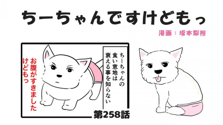 ちーちゃんですけどもっ【第258話】「夕飯の光景」(ブログ)