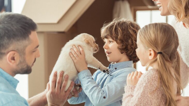犬を迎える前に知っておくべき『理想と現実』とは？意外と大変なお世話や激変する生活環境まで(ブログ)