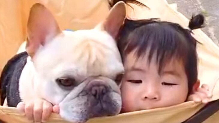 赤ちゃんと犬が『親友』になったら…一緒のカートに乗る姿に2万3000いいね集まる「ほっぺ引っ付けるの可愛すぎる」「優しい世界」賞賛の声続々(ブログ)