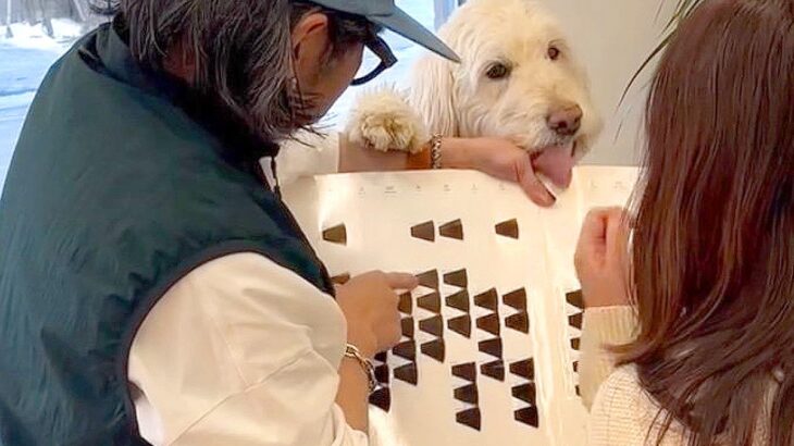 『全然頭に入ってこない…』看板犬がいる美容室に行ったら…まさかのカウンセリング風景が69万再生「ぜひ邪魔されたい」「天国」と羨望の声(ブログ)