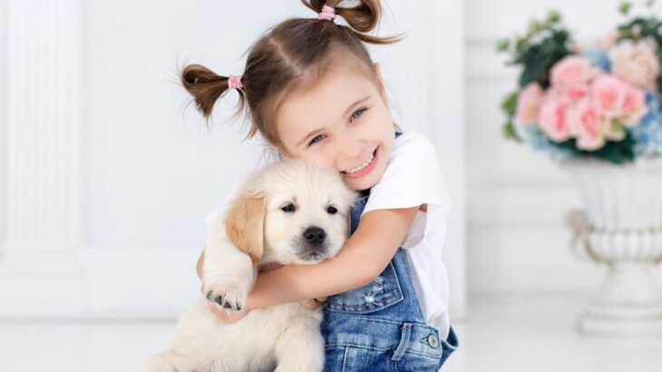 犬が抱っこされると動かなくなる理由7つ！考えられる心理や抱っこする時の注意点も解説(ブログ)