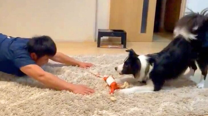 飼い主を『犬』だと思っている疑惑…？仲良し過ぎる家族の光景が137万表示「付き合ってあげてえらい犬」「かわいすぎるｗ」賞賛続々(ブログ)