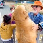 大型犬と子供が待っているのは…『大好きな人の訪問』に大喜びする光景が336万再生「熱烈歓迎すぎｗ」「なんて可愛いの」海外からも大絶賛(ブログ)