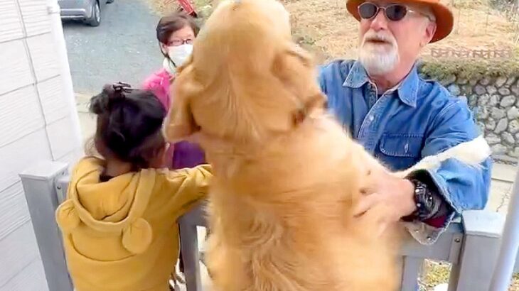大型犬と子供が待っているのは…『大好きな人の訪問』に大喜びする光景が336万再生「熱烈歓迎すぎｗ」「なんて可愛いの」海外からも大絶賛(ブログ)
