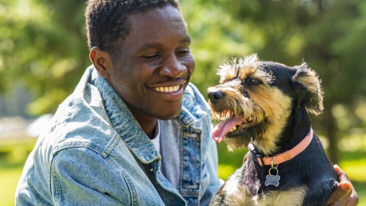 犬のボディランゲージを見れるようになろう！しつけは気持ちを理解できないとうまくいかない(ブログ)
