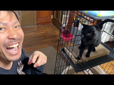 調子に乗ったら指を食べられてしまったおじさん(YouTube)