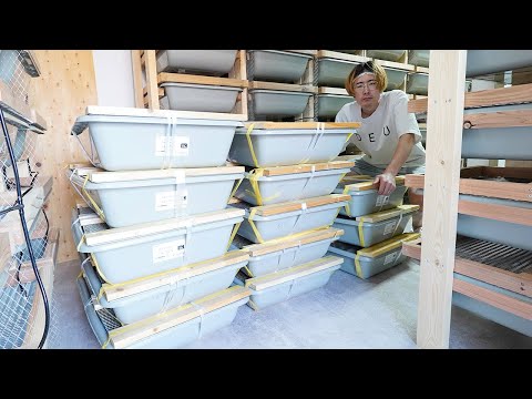 大量のラットが届きました(YouTube)