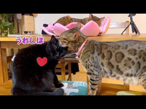 最初は仲悪かった2人が今は親友みたいです(YouTube)