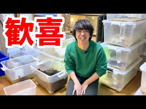 嬉しい事がありました！【が！しかし、、、】どうなるのか！？(YouTube)
