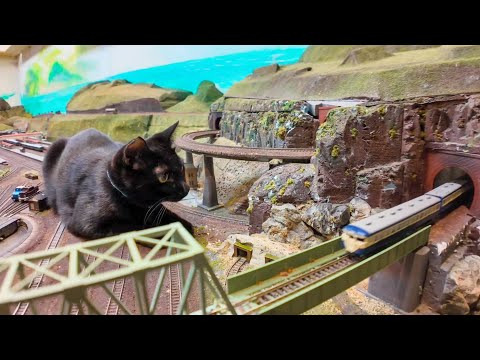 列車を見守る巨大黒猫ちゃんがカワイイ(YouTube)
