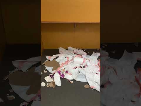 ケン病院行って来ます(YouTube)