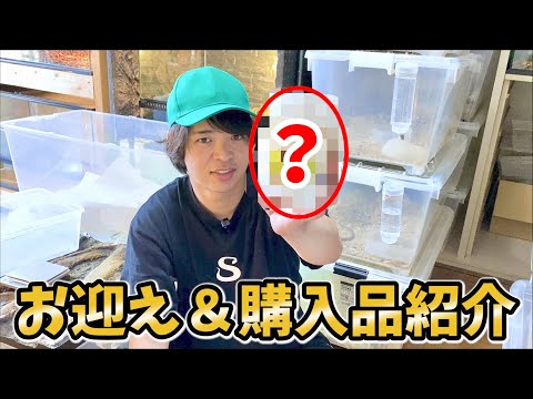 日本最大級の爬虫類イベントでお迎えした生体&購入品を紹介します！【ジャパンレプタイルズショー】【東京ビッグサイト】【JRS】(YouTube)