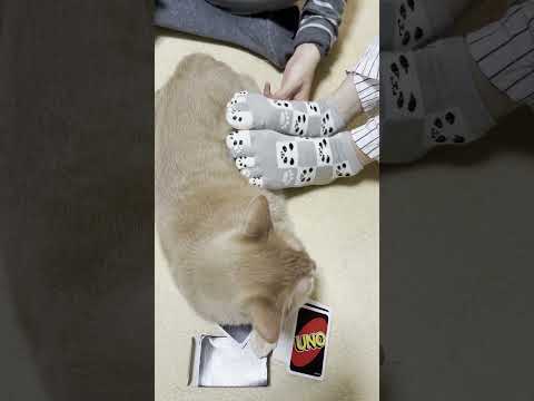 なんか気持ちが悪い！(YouTube)
