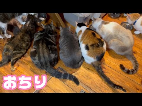 おちり～ そしてクビレはどこいった？2024 05 14 1(YouTube)
