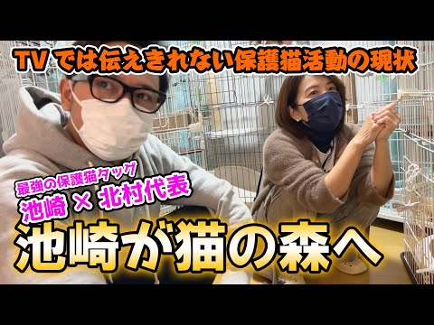 池崎が猫の森を訪問！池崎×北村代表の最強保護猫タッグ！TVでは伝えきれない保護猫活動の現状【悪徳保護猫団体＆闇オークション】(YouTube)