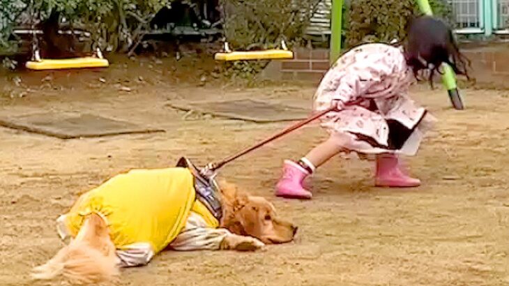 女の子が『絶対に公園から出たくない犬』を引っ張った結果…平和すぎる攻防戦の結末が66万再生「完全勝利で笑ったｗ」「両方かわいい」と話題(ブログ)