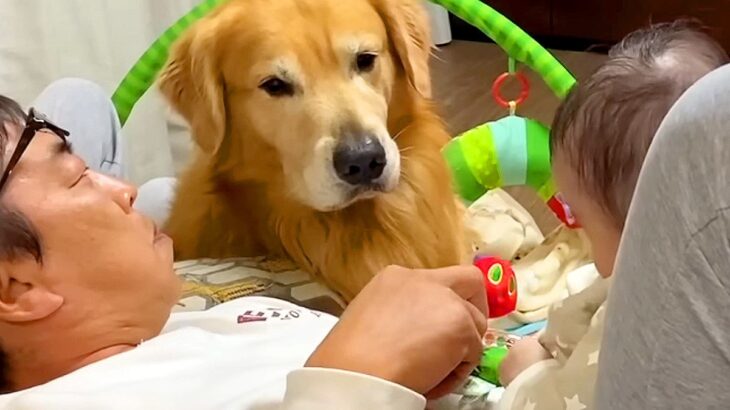 犬の前で『赤ちゃん』可愛がると…まさかの『明らかに不機嫌になる姿』が62万再生「可愛いストーカーｗ」「わかりやす過ぎて草」と絶賛の声(ブログ)