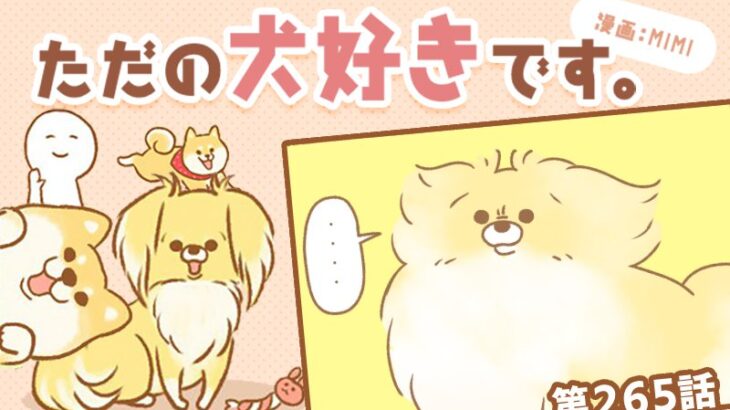 ただの犬好きです。【第265話】「知らぬが仏」(ブログ)