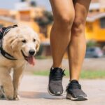 『責任感が足りない』犬の飼い主がする行動5つ　あなたは大丈夫？愛犬のために必ず意識すべきことまで(ブログ)