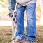 『他人に心を許しにくい犬』の特徴4選！飼い主にできることと必要な配慮に「初対面の時は気を付けよう」(ブログ)