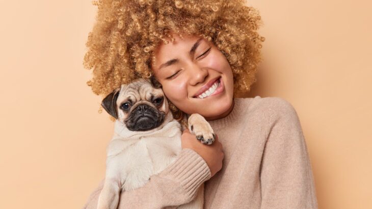 犬が『塩対応』してくる理由４つ　愛犬に冷たくされる人の特徴や主な原因まで解説(ブログ)