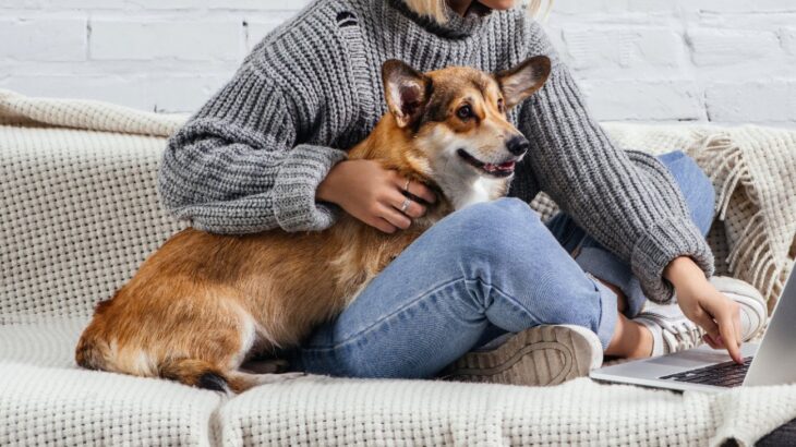 犬が『人の足に乗っかる』心理5つ　可愛い理由や飼い主がすべき適切な対応とは？(ブログ)