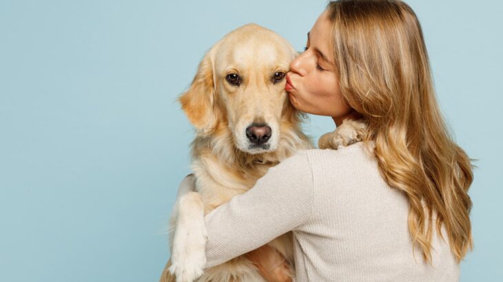 犬が『ストレスを感じてしまう』間違ったお世話4つ　逆効果となるNG行為とは？(ブログ)