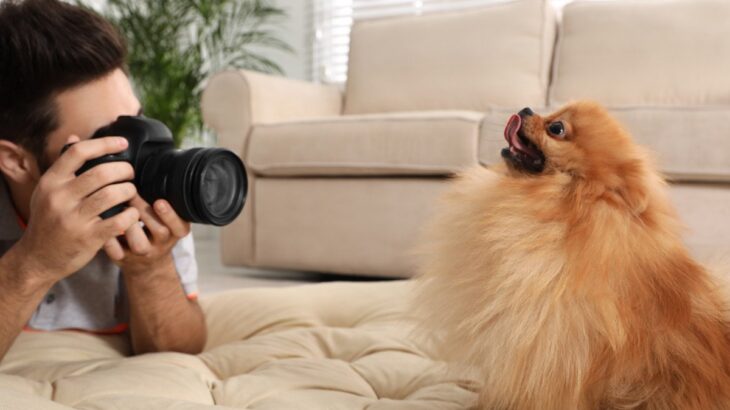 犬がカメラを嫌がる時に考えられる理由３つ　なぜ目線を逸らすの？上手く撮影するコツとは(ブログ)