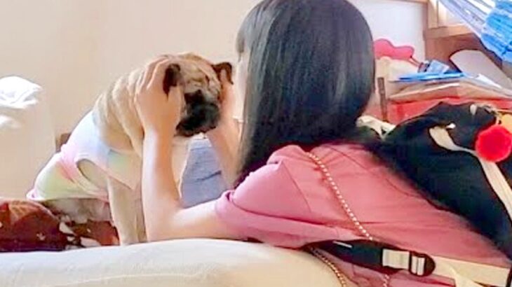 犬と家族の『お別れの瞬間』…寂しそうに見つめる姿が感動的だと26万再生「寂しそうな表情に泣いた」「急いでお家に帰りたくなる」と絶賛(ブログ)