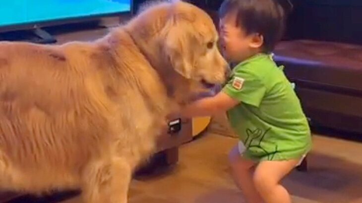 小さな男の子がお片付けをしたら犬が…まさかの『可愛すぎる攻防戦』に発展「コントみたいｗ」「ナイスコンビすぎる」と56万再生の反響(ブログ)