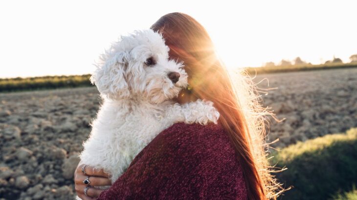 犬が人に抱っこされてるときの心理5つ　愛犬が思う本当の気持ちを理解してあげよう(ブログ)