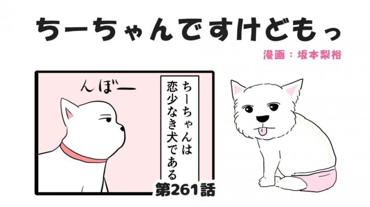ちーちゃんですけどもっ【第261話】「ちーちゃんを好きな犬」(ブログ)