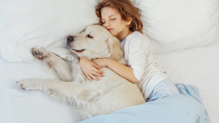 なぜ犬は『体調不良の飼い主』に優しくするのか？2つの理由を解説(ブログ)