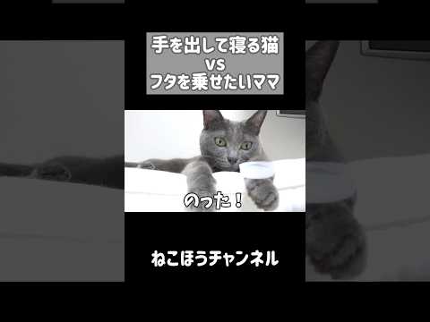 猫の手にフタを乗せたらこうなりますw #shorts(YouTube)