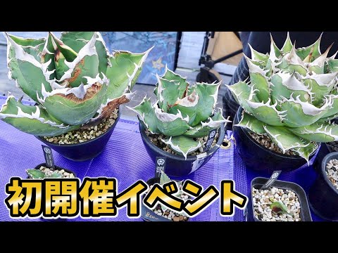 植物！魚！両生類！昆虫！埼玉県で初開催されたイベントに行くと、、、新しい趣味が増えそうな予感が！！！(YouTube)