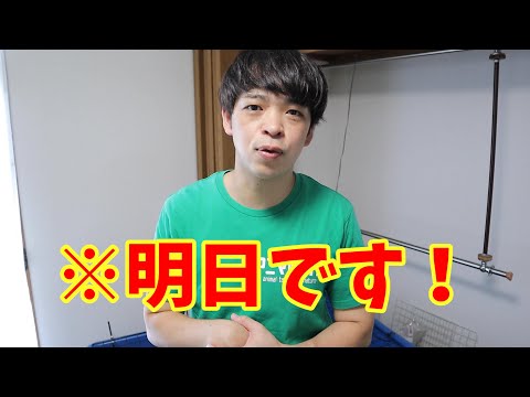 【告知】３つのイベントに参加します！(YouTube)